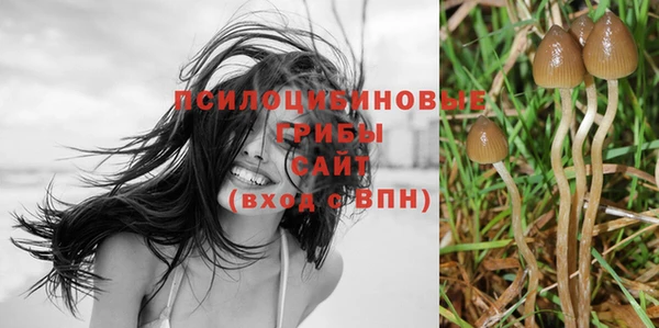 прущая мука Надым