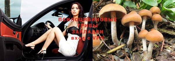 прущая мука Надым
