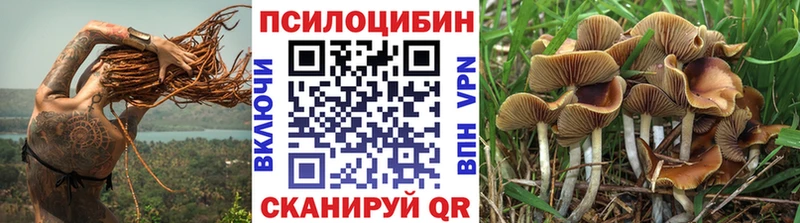 Галлюциногенные грибы Psilocybe  наркота  Ялта 