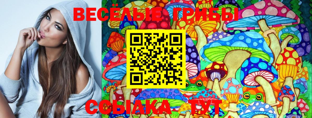 Псилоцибиновые грибы мицелий  закладки  Ялта 