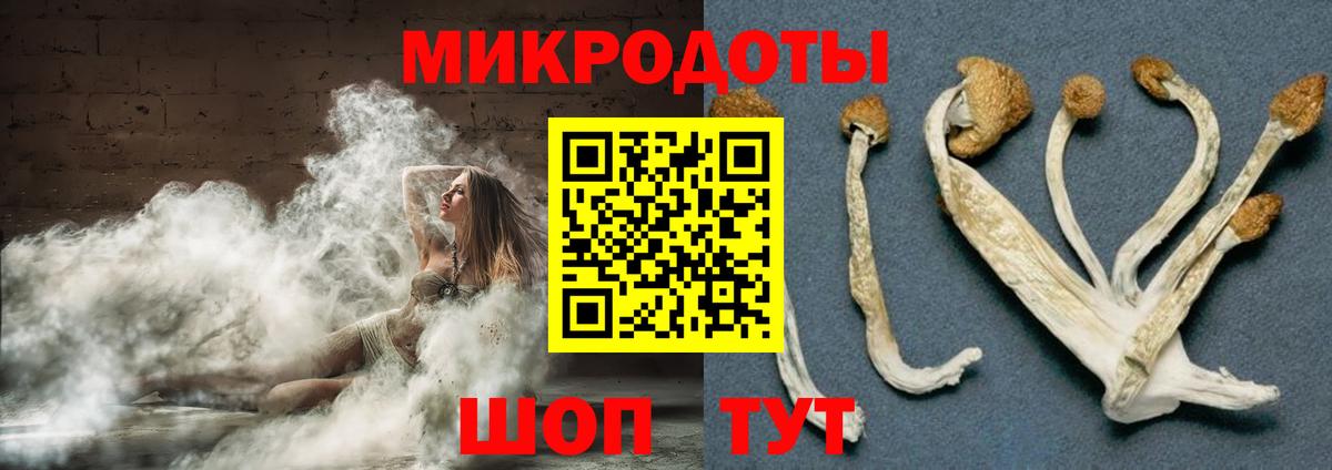 Галлюциногенные грибы Psilocybine cubensis  Вход с VPN  Ялта 